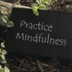 The words, Practice Mindfulness, on a chalkboard sitting next to tree root and plants.