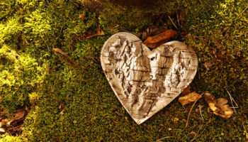 Funeral,Heart,Sympathy.,Panoramic,Image,Of,Wooden,Funeral,Heart,Shape