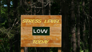 Wooden,Sign,In,The,Forest,Stating,Stress,Level,Low,Today,