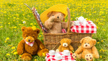 Teddy,Bear’s,Picnic,In,Summer,With,Bright,Yellow,Dandelions,In